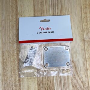 Relic T-Style Guitar Neck Plate