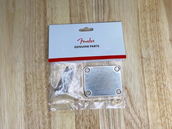 Relic T-Style Guitar Neck Plate