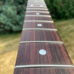 Rosewood & MOP inlays in Natural Light