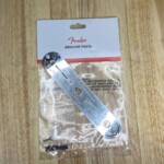 Relic T-Style Guitar Control Plate